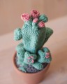 Picture of Light Green Crochet Cactus with Pink Flowers in Small Terracotta Pot