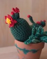 Picture of Crochet Garden with 3 Succulents & Cactuses in Large Terracotta Pot