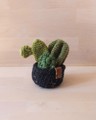 Picture of Small Green Crochet Garden with 3 Succulents & Cactuses in a Pot