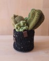 Picture of Green Crochet Garden with 5 Succulents & Cactuses in a Pot