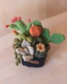 Picture of Large Crochet Garden with 7 Succulents & Cactuses in Black Pot