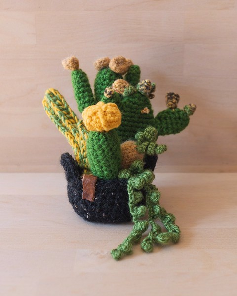 Picture of Large Crochet Garden with 6 Succulents & Cactuses in Black Pot