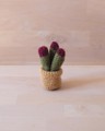 Снимка на Мини плетен кактус в саксийка