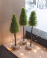 Picture of Set of 3 fluffy Christmas Trees with wooden base