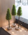 Picture of Tall fluffy Christmas Tree with wooden base