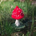 Picture of Large Crochet Red Fly Agaric / Amanita Mushroom