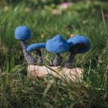 Picture of Crochet Blue Mushrooms on Wooden Base