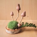 Picture of Small Crochet Wild Mushrooms on Wooden Base / Pincushion