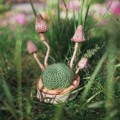 Picture of Small Crochet Wild Mushrooms on Wooden Base / Pincushion