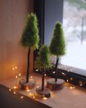 Picture of Set of 3 fluffy Christmas Trees with wooden base