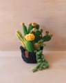 Picture of Large Crochet Garden with 6 Succulents & Cactuses in Black Pot