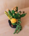 Picture of Large Crochet Garden with 6 Succulents & Cactuses in Black Pot