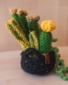 Picture of Large Crochet Garden with 6 Succulents & Cactuses in Black Pot