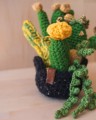 Picture of Large Crochet Garden with 6 Succulents & Cactuses in Black Pot