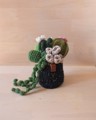 Picture of Crochet Garden with 6 Succulents & Cactuses in a Pot