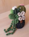 Picture of Crochet Garden with 6 Succulents & Cactuses in a Pot