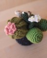 Picture of Crochet Garden with 6 Succulents & Cactuses in a Pot