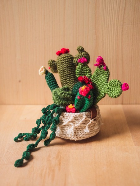 Picture of Boho Crochet Garden with 7 Succulents & Cactuses in a Pot