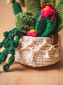 Picture of Boho Crochet Garden with 7 Succulents & Cactuses in a Pot