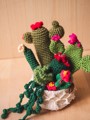 Picture of Boho Crochet Garden with 7 Succulents & Cactuses in a Pot