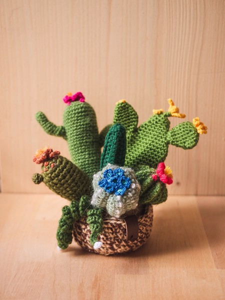 Picture of Colorful Crochet Garden with 7 Succulents & Cactuses in a Pot