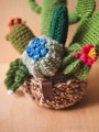 Picture of Colorful Crochet Garden with 7 Succulents & Cactuses in a Pot