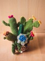 Picture of Colorful Crochet Garden with 7 Succulents & Cactuses in a Pot