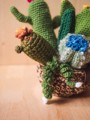 Picture of Colorful Crochet Garden with 7 Succulents & Cactuses in a Pot