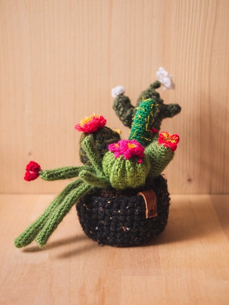 Picture of Black Crochet Garden with 7 Succulents & Cactuses in a Pot