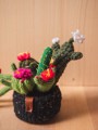 Picture of Black Crochet Garden with 7 Succulents & Cactuses in a Pot