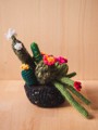 Picture of Black Crochet Garden with 7 Succulents & Cactuses in a Pot