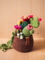 Picture of Brown Crochet Garden with 7 Succulents & Cactuses in a Pot