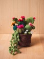 Picture of Brown Crochet Garden with 7 Succulents & Cactuses in a Pot