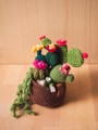 Picture of Brown Crochet Garden with 7 Succulents & Cactuses in a Pot